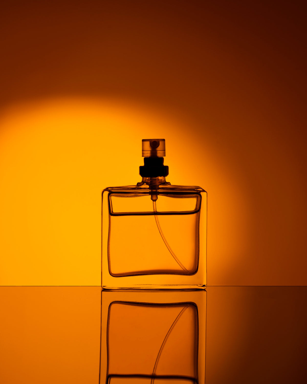 Perfume collection